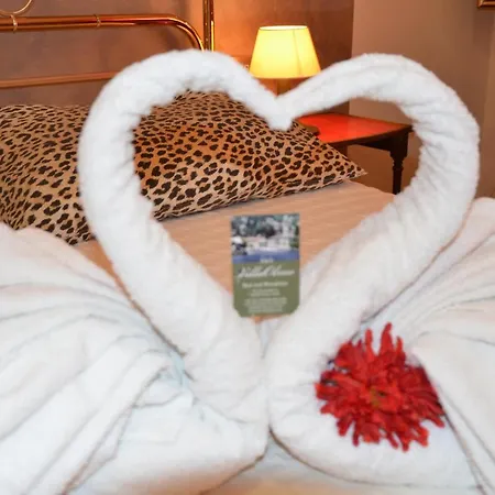 Bed and breakfast Olmo